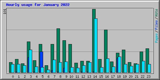 Hourly usage for January 2022