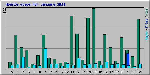 Hourly usage for January 2023