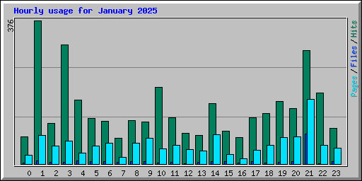 Hourly usage for January 2025