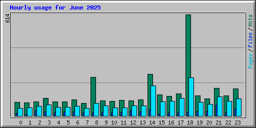 Hourly usage for June 2025