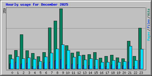 Hourly usage for December 2025