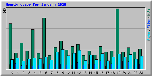 Hourly usage for January 2026